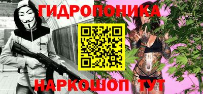 прущие крисы Аша