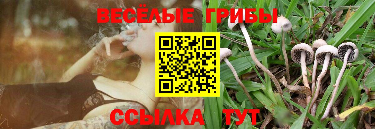 Галлюциногенные грибы MAGIC MUSHROOMS  Галлюциногенные грибы Psilocybine cubensis  Апрелевка  Вход с VPN 